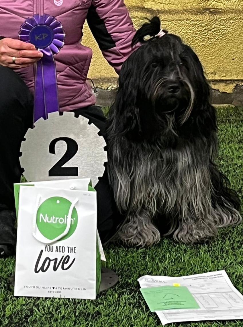 Lyyli toko avo 1, sij. 2 ja kunniapalkinto